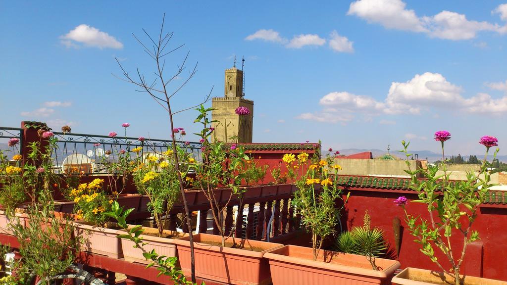 Ryad Bab Berdaine Meknès Exterior foto